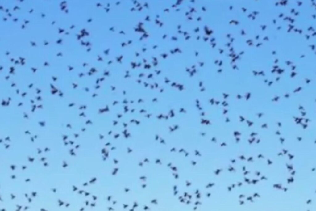 A nuvem foi vista no Reino Unido