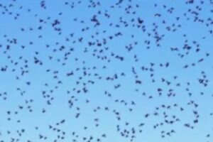 A nuvem foi vista no Reino Unido