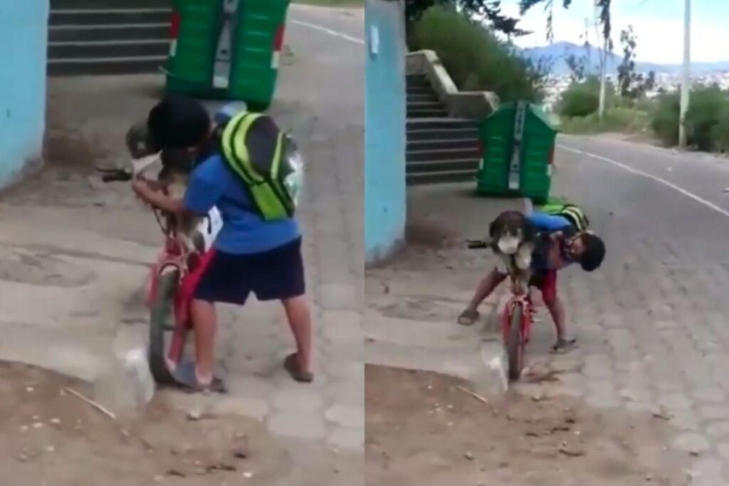 Ele colocou a máscara no cachorro!