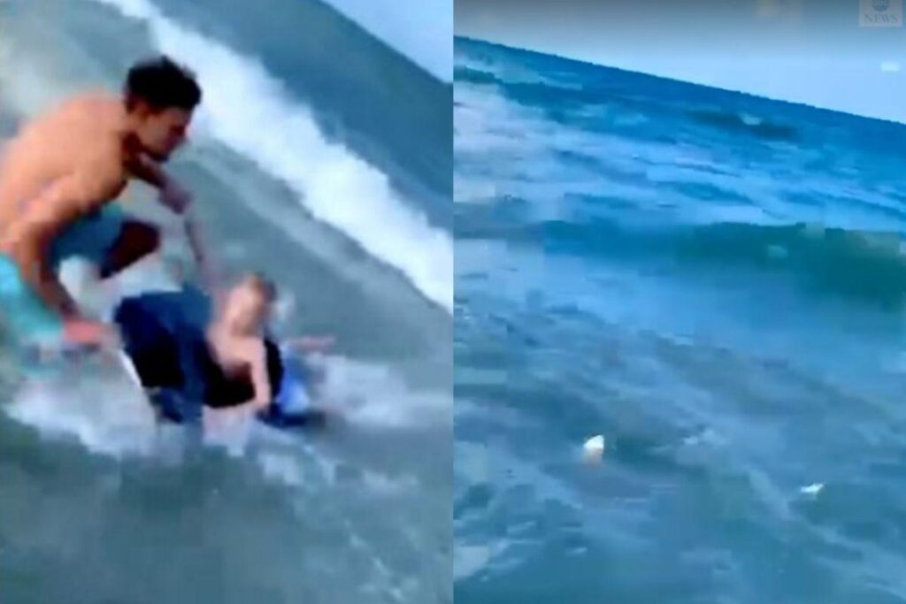 Vídeo mostra policial salvando criança de tubarão na praia