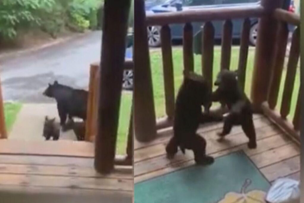 A família ficou impressionada com a situação