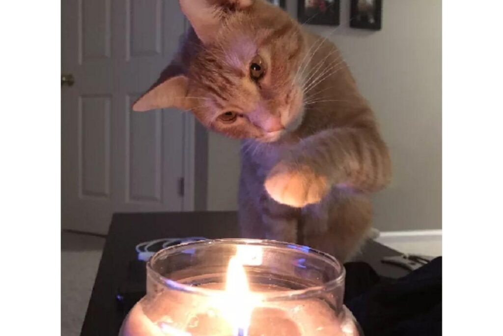 O relato fez sucesso no Reddit