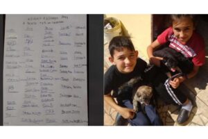 Francisco, de vermelho, e o irmão Enrico. Esses cachorros são da avó das crianças