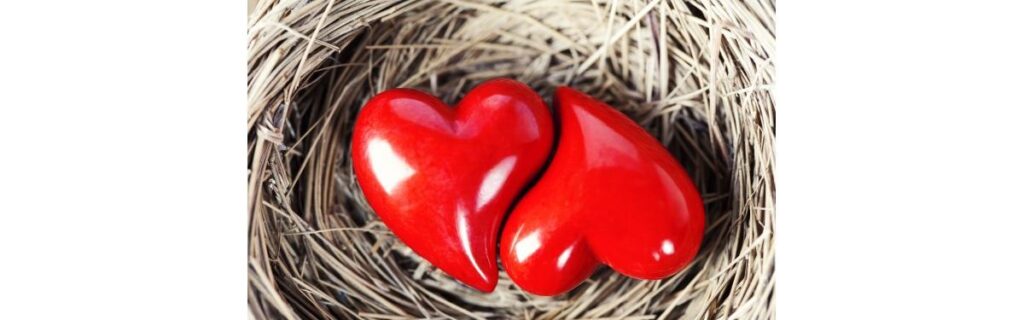 Veja quais são as melhores posições sexuais para engravidar