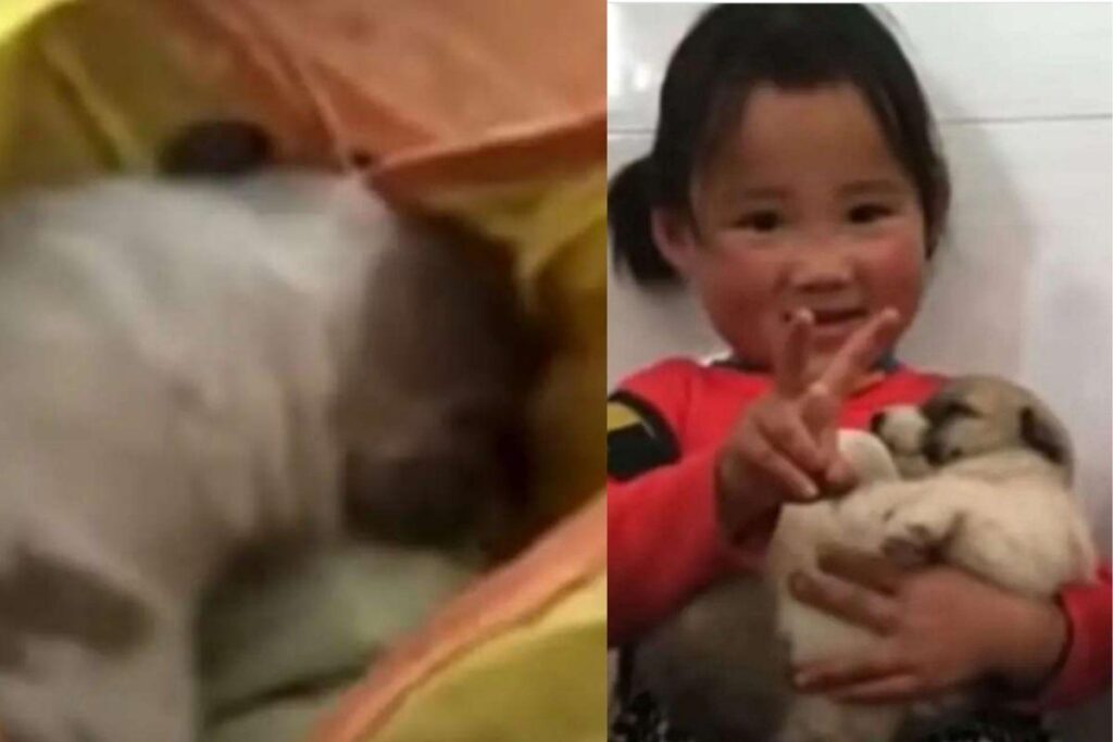 Ela ficou com medo da professora tirá-lo dela