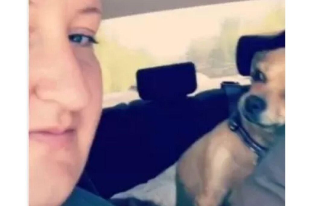 Nathan e Bistrol são inseparáveis!