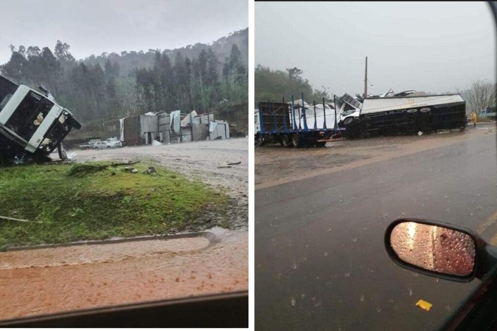 Quedas de árvores provocaram interrupções no trânsito em rodovias