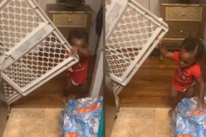 Ele deu um jeito de conseguir o que queria!