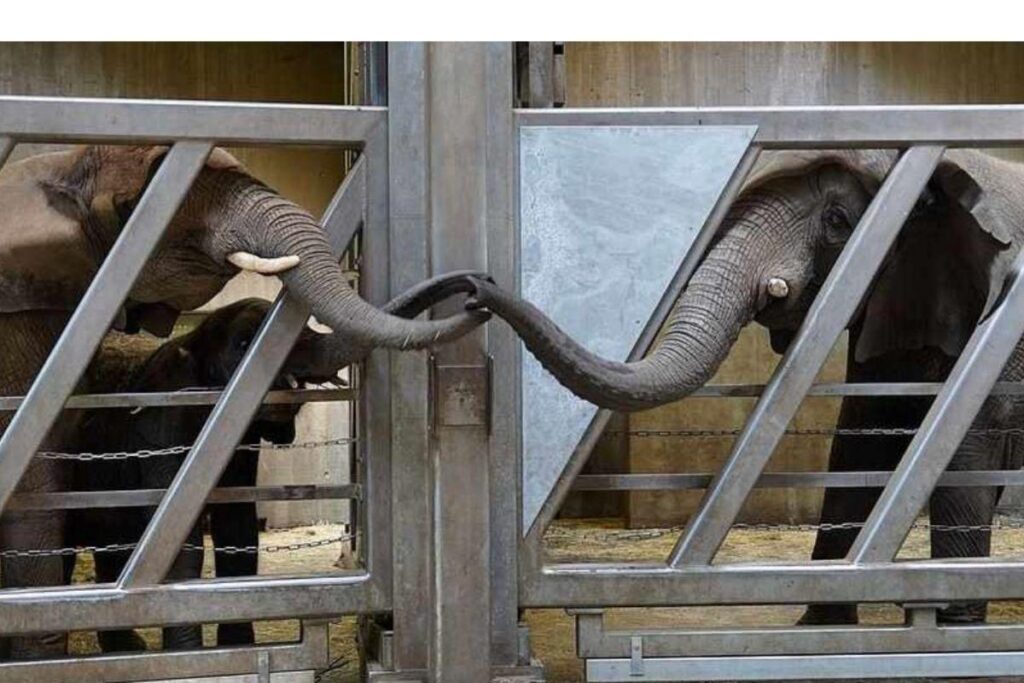 O reecontro deve ter sido emocionante!