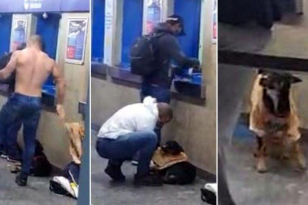 A cena viralizou nas redes sociais