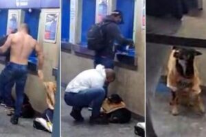 A cena viralizou nas redes sociais