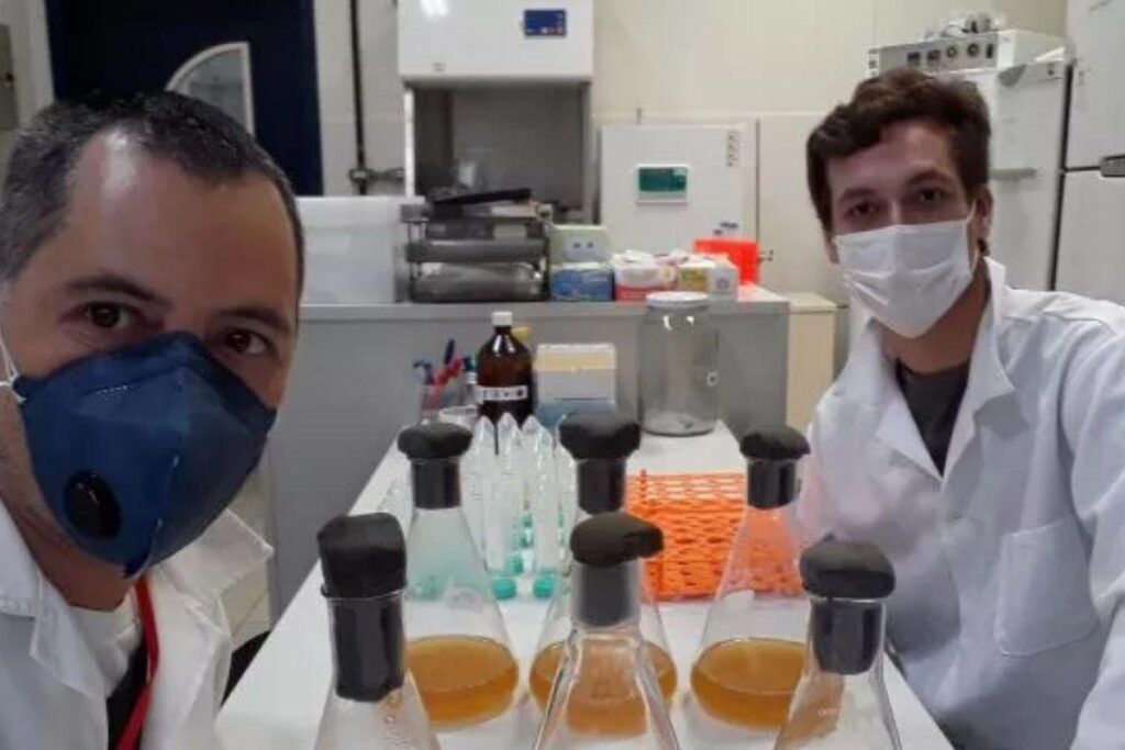 O teste ajuda a medir a quantidade de anticorpos