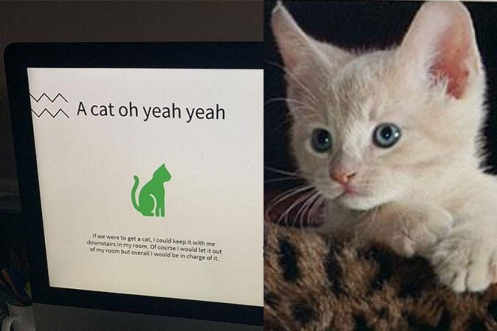 Ela fez uma lista de benefícios