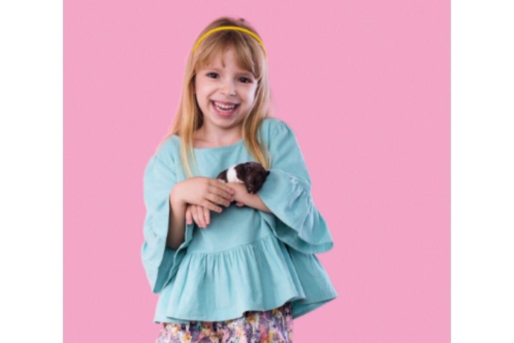 Hamster podem se tornar o pet ideal para o seu filho