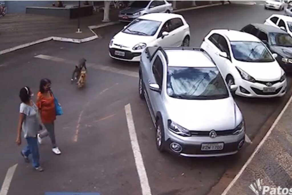 Elas tomaram um baita susto com os cães correndo em alta velocidade!