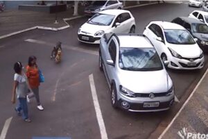 Elas tomaram um baita susto com os cães correndo em alta velocidade!