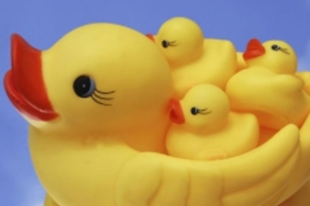 Cada coisa acontece no seu tempo