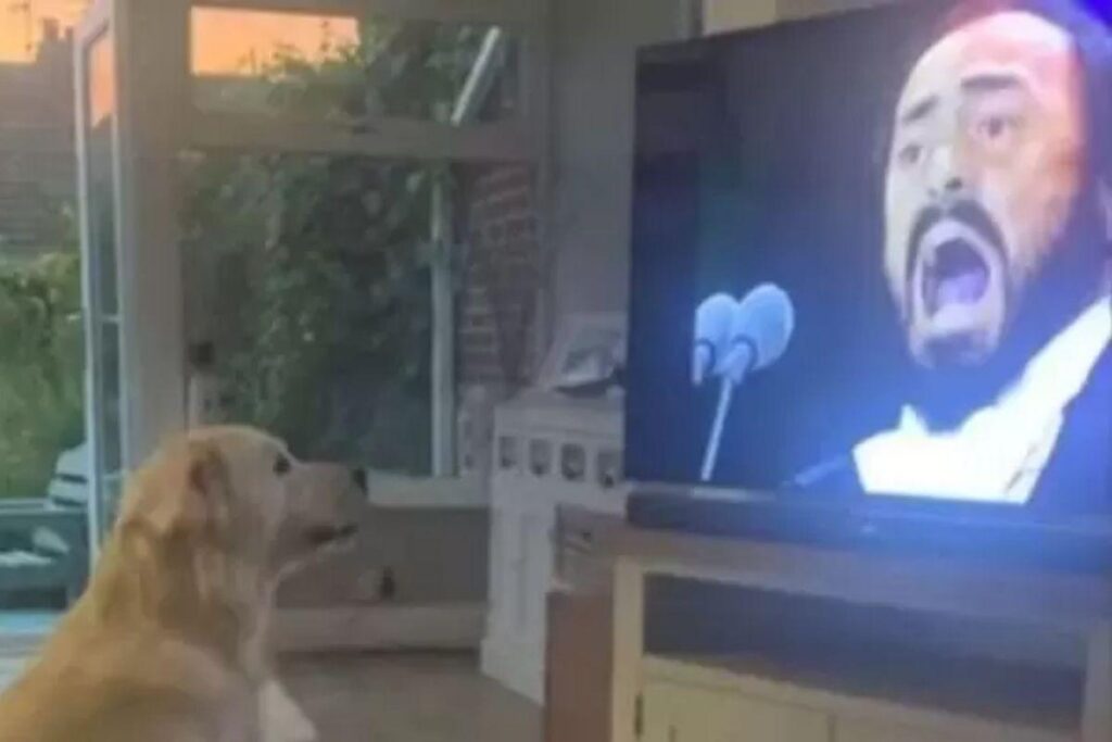 Hugo canta junto com o italiano