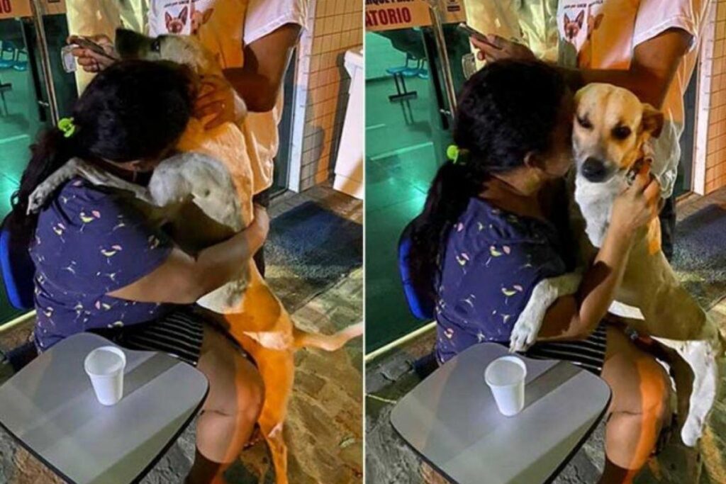 Anjo Gabriel foi adotado