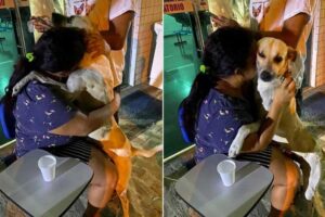 Anjo Gabriel foi adotado