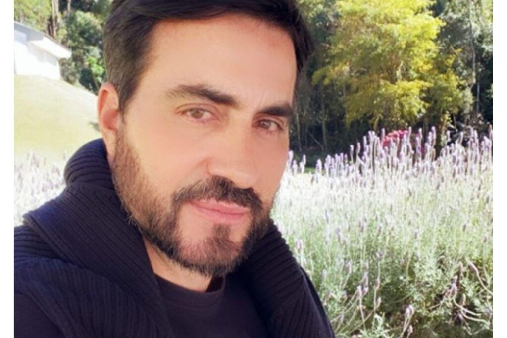 A abelha foi apelidada de ‘Ana’