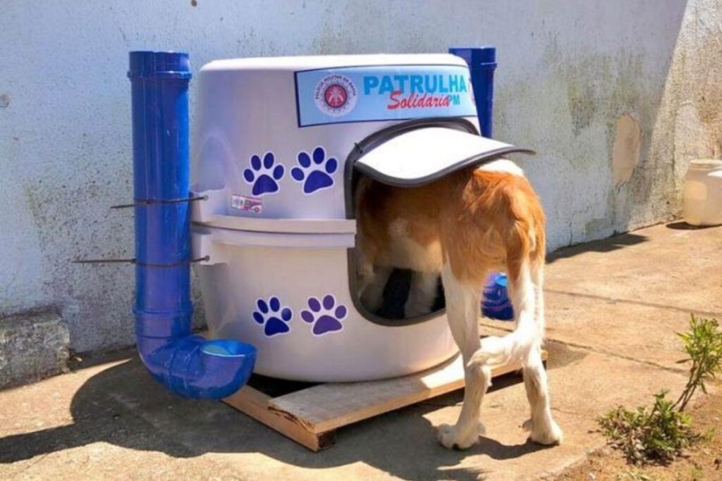 Nesta terça-feira os primeiros abrigos foram instalados