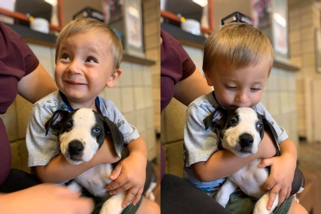 Ele ficou muito feliz com o novo amigo