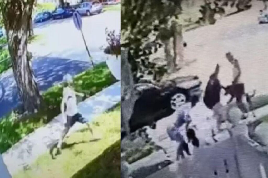 As imagens foram capturadas pela câmera de segurança do vizinho