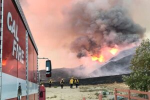 Mais de 2,8 mil hectares foram destruídos