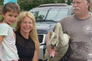 Olivia Cammarata ,de 5 anos foi elogiada por policiais