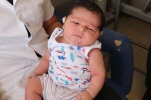 O bebê está recebendo doações de leite