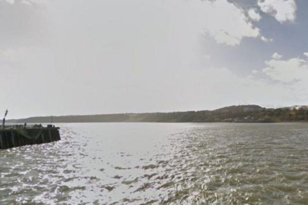 Ele seguiu os protocolos que viu na TV