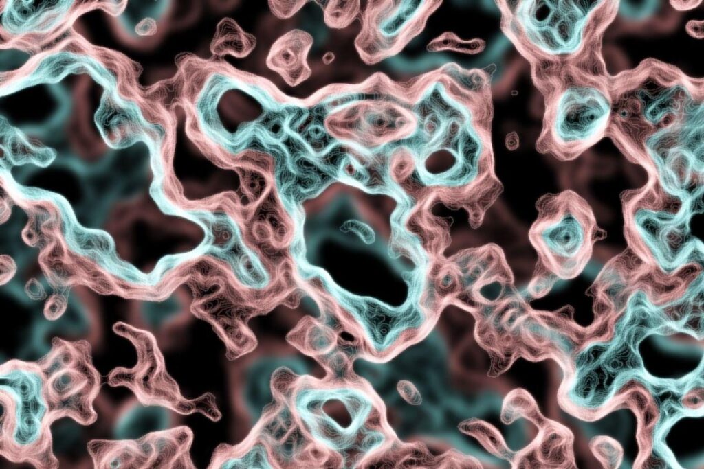 A ameba vive em águar mornas