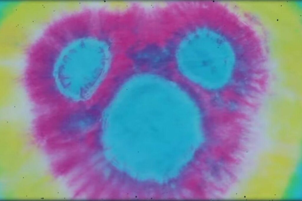 Nós te mostramos o passo a passo