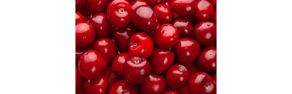 Entenda tudo sobre dermatite atópica e veja como cuidar do problema