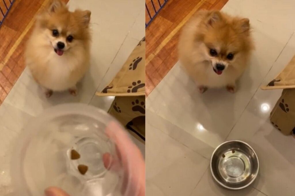 O vídeo viralizou nas redes sociais