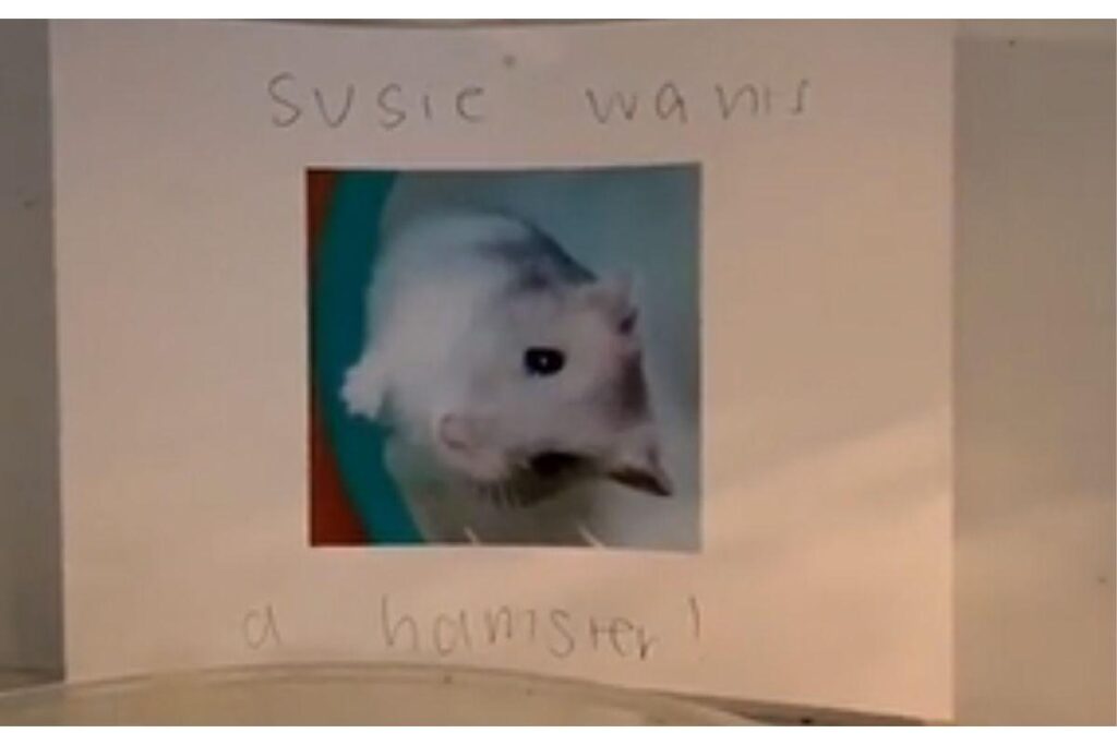 Ela espalhou os bilhetes pela casa toda!