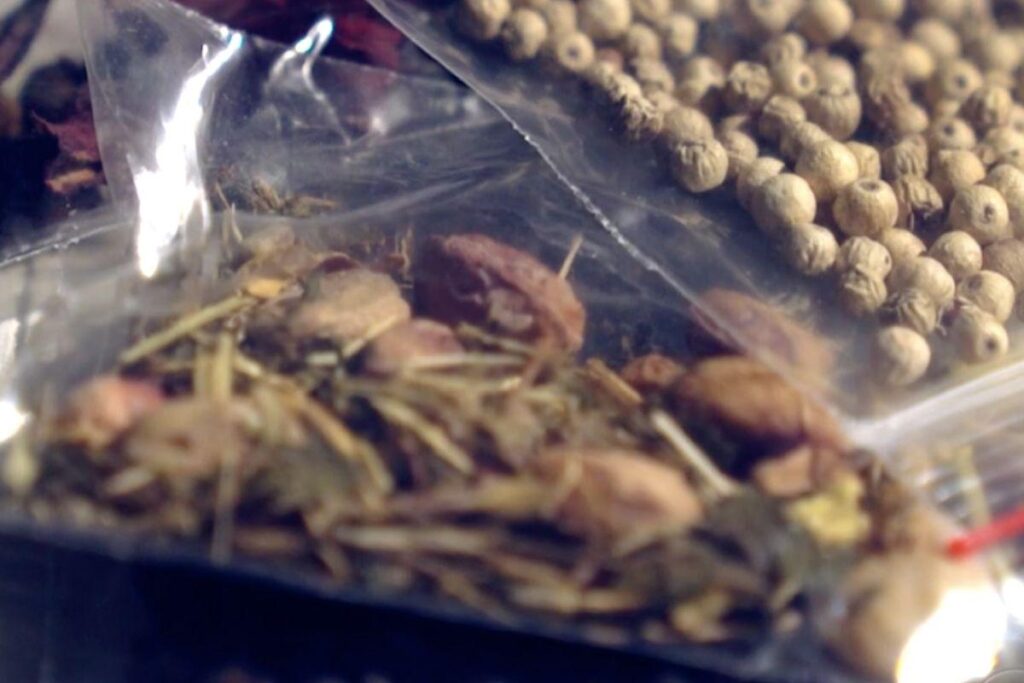 Brasileiros já receberam cerca de 258 pacotes da ‘semente misteriosa’