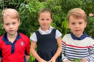 Eles fizeram perguntas curiosas sobre animais