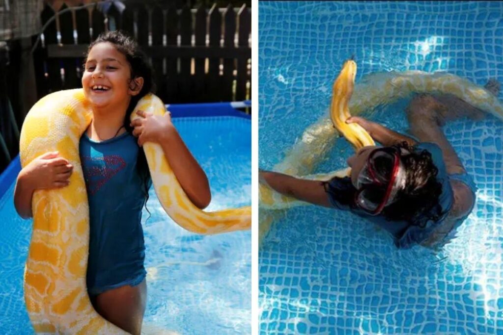 Belle se tornou uma boa companheira para a menina