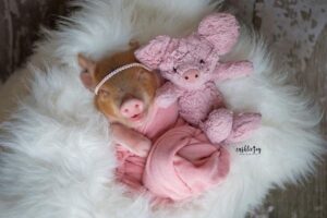 A fotógrafa contou sobre a inspiração