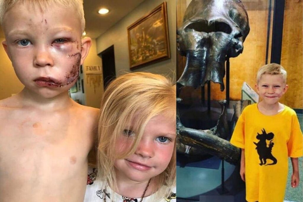 O garoto ama geologia e recebeu surpresa incrível do museu de Wyoming