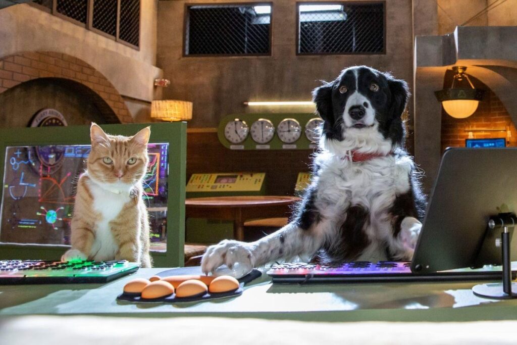 Como Cães e Gatos 3: Peludos Unidos traz velhos personagens e novos