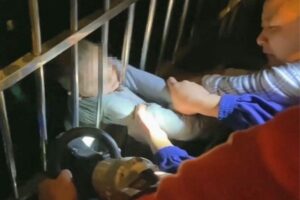 A criança teria sido deixado sozinho enquanto o pai foi a uma mercado próximo de casa