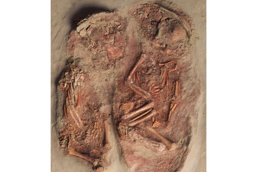 Eles viveram há 32 mil anos