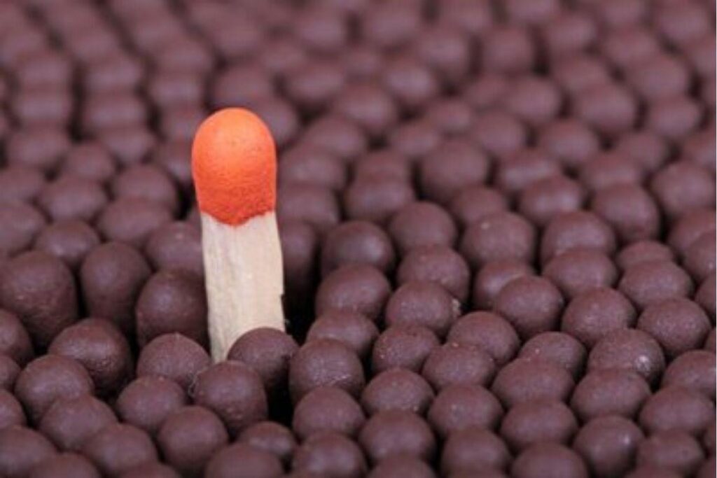 Como usar o calendário a seu favor