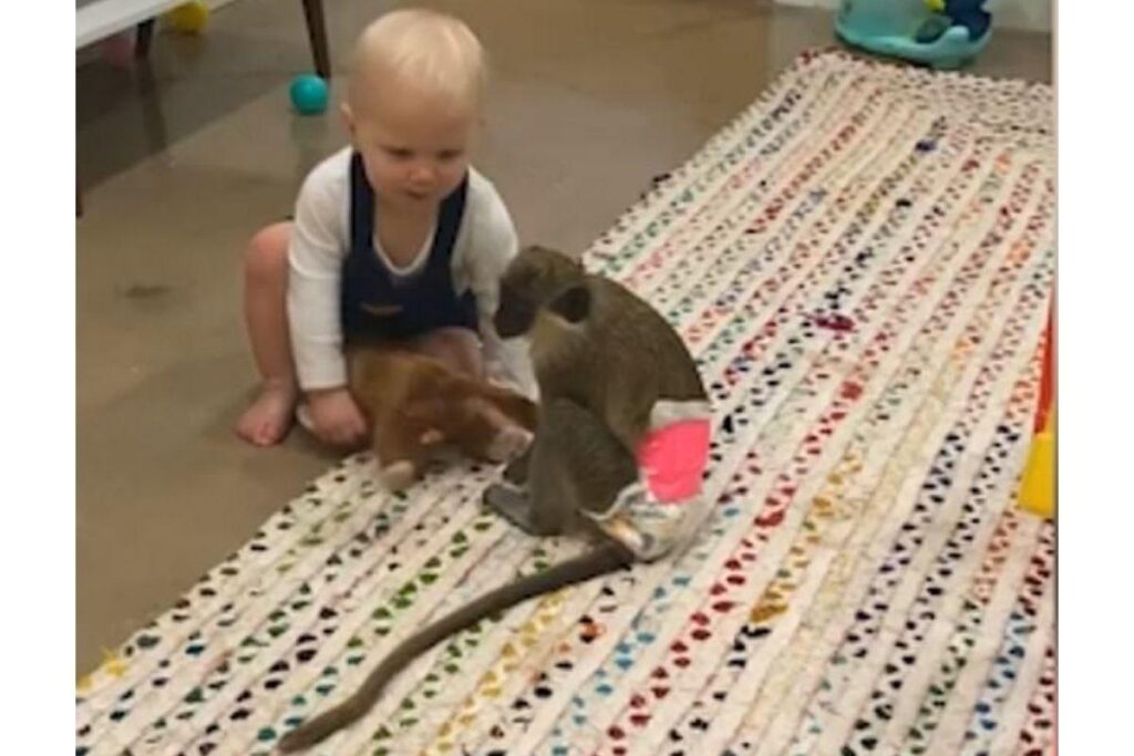 A mãe da bebê falou sobre essa amizade