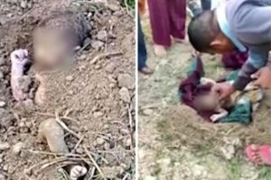 O caso aconteceu na Índia