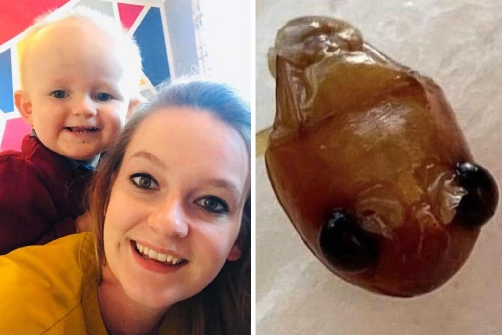 A mãe faz um alerta para os pais