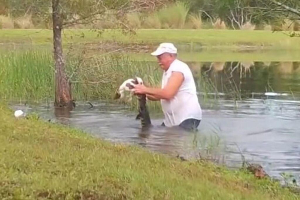 Ele lutou contra o crocodilo